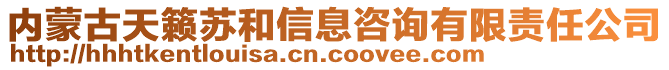 內(nèi)蒙古天籟蘇和信息咨詢有限責(zé)任公司