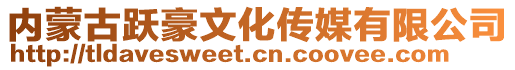 內(nèi)蒙古躍豪文化傳媒有限公司