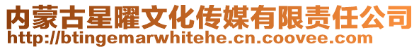 內(nèi)蒙古星曜文化傳媒有限責(zé)任公司