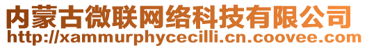 內(nèi)蒙古微聯(lián)網(wǎng)絡(luò)科技有限公司