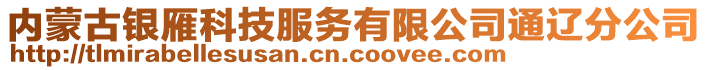 內(nèi)蒙古銀雁科技服務有限公司通遼分公司