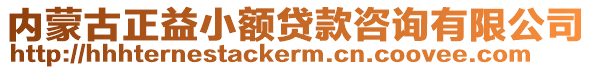 內(nèi)蒙古正益小額貸款咨詢有限公司