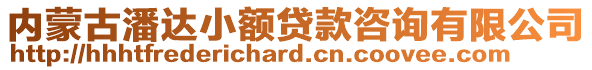 內蒙古潘達小額貸款咨詢有限公司