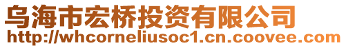 烏海市宏橋投資有限公司