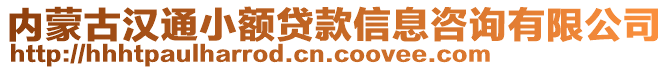 內(nèi)蒙古漢通小額貸款信息咨詢有限公司