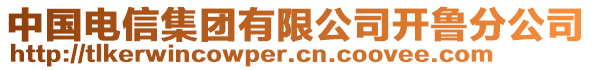 中國電信集團有限公司開魯分公司