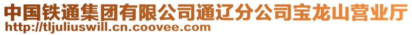 中國鐵通集團有限公司通遼分公司寶龍山營業(yè)廳