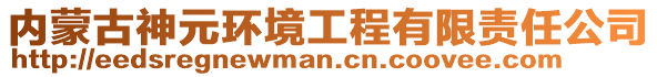 內(nèi)蒙古神元環(huán)境工程有限責(zé)任公司