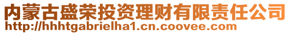 内蒙古盛荣投资理财有限责任公司