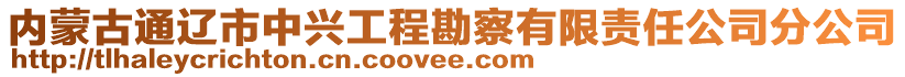 內(nèi)蒙古通遼市中興工程勘察有限責任公司分公司