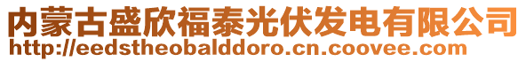 內(nèi)蒙古盛欣福泰光伏發(fā)電有限公司