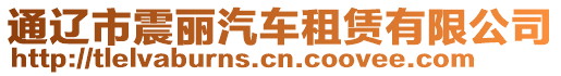 通遼市震麗汽車租賃有限公司