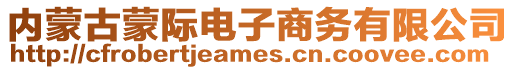 内蒙古蒙际电子商务有限公司