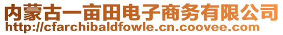 內(nèi)蒙古一畝田電子商務(wù)有限公司