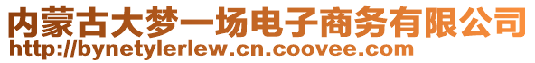 內(nèi)蒙古大夢一場電子商務有限公司