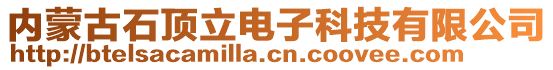 內(nèi)蒙古石頂立電子科技有限公司