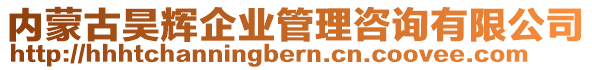 內(nèi)蒙古昊輝企業(yè)管理咨詢有限公司