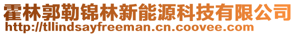 霍林郭勒锦林新能源科技有限公司