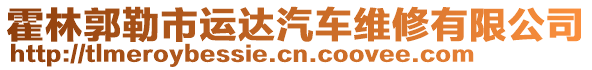 霍林郭勒市運(yùn)達(dá)汽車維修有限公司