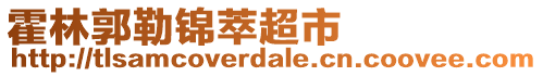 霍林郭勒錦萃超市