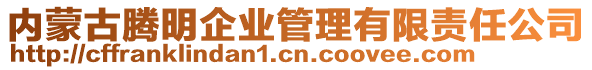 內(nèi)蒙古騰明企業(yè)管理有限責(zé)任公司