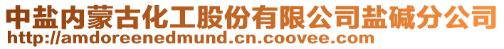 中鹽內蒙古化工股份有限公司鹽堿分公司