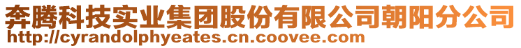 奔腾科技实业集团股份有限公司朝阳分公司