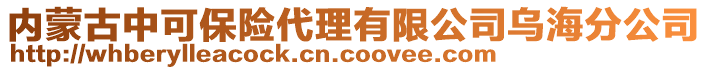 內(nèi)蒙古中可保險代理有限公司烏海分公司