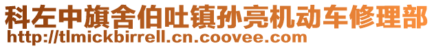 科左中旗舍伯吐镇孙亮机动车修理部