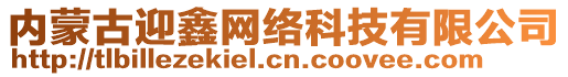 內(nèi)蒙古迎鑫網(wǎng)絡(luò)科技有限公司