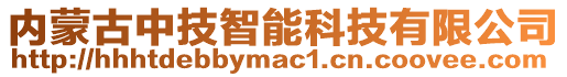 內(nèi)蒙古中技智能科技有限公司