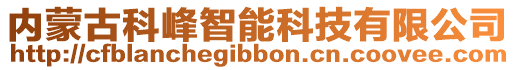 內(nèi)蒙古科峰智能科技有限公司