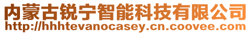 內蒙古銳寧智能科技有限公司