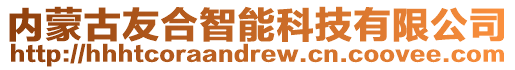 內(nèi)蒙古友合智能科技有限公司