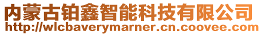 內(nèi)蒙古鉑鑫智能科技有限公司