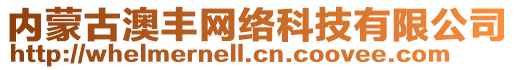 內蒙古澳豐網絡科技有限公司