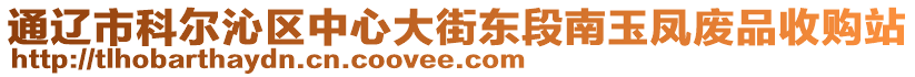 通遼市科爾沁區(qū)中心大街東段南玉鳳廢品收購站