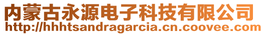 內(nèi)蒙古永源電子科技有限公司