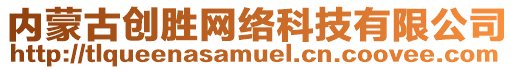 內(nèi)蒙古創(chuàng)勝網(wǎng)絡科技有限公司