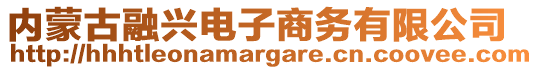 內(nèi)蒙古融興電子商務(wù)有限公司