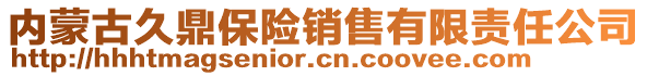 內蒙古久鼎保險銷售有限責任公司