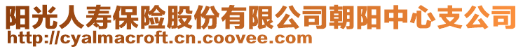 阳光人寿保险股份有限公司朝阳中心支公司