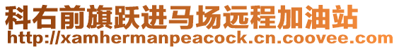 科右前旗躍進(jìn)馬場(chǎng)遠(yuǎn)程加油站