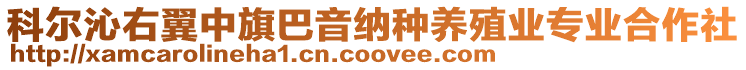科爾沁右翼中旗巴音納種養(yǎng)殖業(yè)專業(yè)合作社