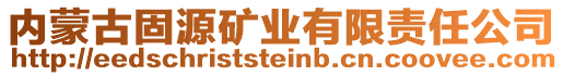 内蒙古固源矿业有限责任公司