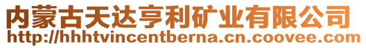 內(nèi)蒙古天達亨利礦業(yè)有限公司