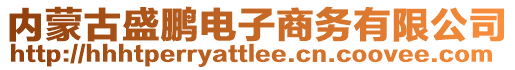 内蒙古盛鹏电子商务有限公司