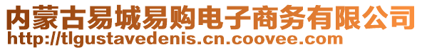 內(nèi)蒙古易城易購電子商務有限公司