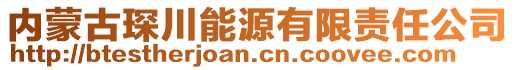 內(nèi)蒙古琛川能源有限責(zé)任公司