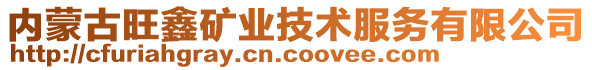 内蒙古旺鑫矿业技术服务有限公司